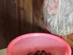 -老鲍农家乐