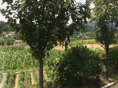 -将军关探险漂流