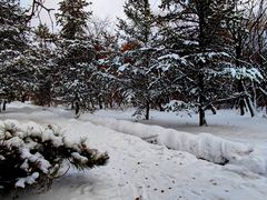 -长春市南湖公园