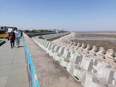 -南汇嘴观海公园