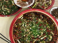 来凤鱼-东吴霸王兔(松青路店)