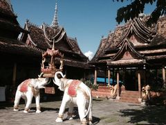 iphone_upload_pic-西双版纳傣族园