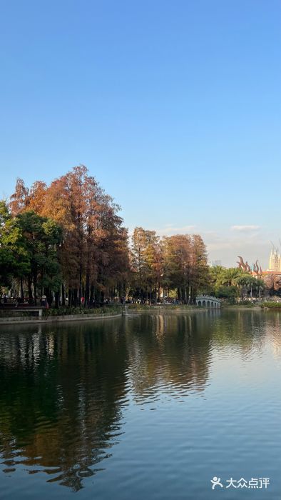 四海公园(南山区)图片