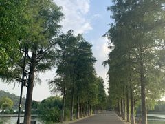 -东湖落雁景区