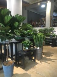 -花落谁家婚礼策划(永安街店)