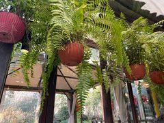 -野蔓果·山野菜(西湖景区·龙井茶田店)