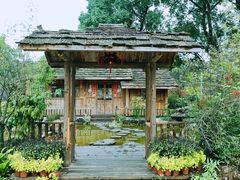 -南山植物园