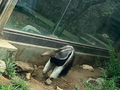 -济南野生动物世界