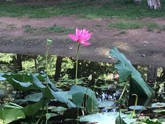 -长白岛森林公园