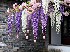 -闪电修企业手机电脑回收(西湖风景名胜区店)