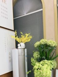 -熙朵美学植发·连锁品牌