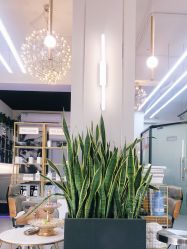 -FUTURE HN男士发型风格设计