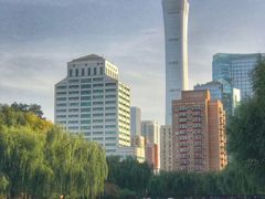 -团结湖公园