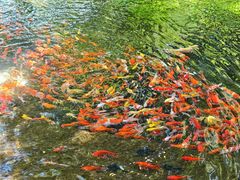 -水磨沟公园