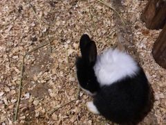 -绿色星球动物主题公园