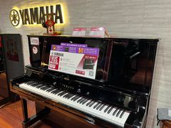 -通利琴行 - 尖沙咀(尖沙咀旗舰店)