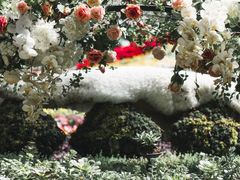 -花之城