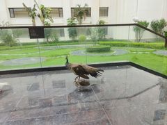 -惠州金海湾嘉华度假酒店