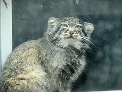 -青藏高原野生动物园