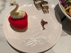 -MR鹅外