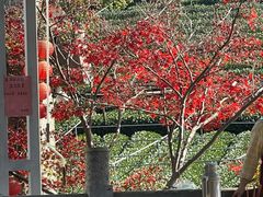 -听风阁农家私房菜茶楼(龙坞店)