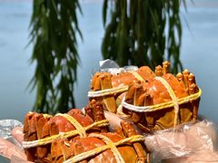 -蟹天蟹地农家菜·阳澄湖大闸蟹(浅水湾店)