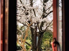 -堤角公园