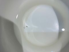 -林辉家宴·本地家常菜·头牌清远鸡(先锋店)