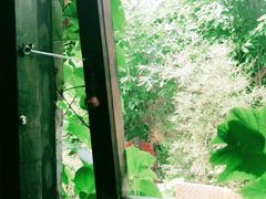 -斯多格书乡(北京大学畅春园店)