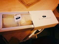 -BLACKSWAN黑天鹅(环球店)