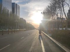 -伊犁河景区