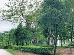 -星巴克(深圳香港大学深圳医院店)