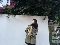 -溪岸路花鸟市场