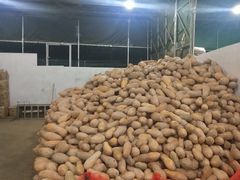 -深圳市海吉星国际农产品物流管理有限公司