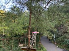 -梦幻奥陶纪景区