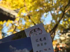 -汇龙潭