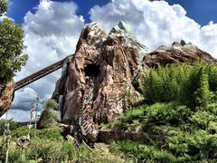 -奥兰多迪士尼动物王国乐园