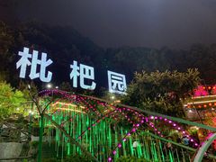 -枇杷园食为鲜火锅(南山店)