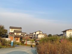 -空港花田景区