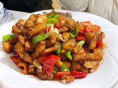 -煲来饱去冷水鱼