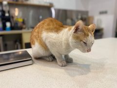 -WATER CAFE(广厦店)