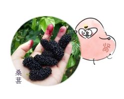 -雅曼妮spa美容养生