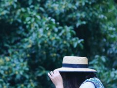 -贡湖湾湿地公园