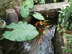 -老屋咖啡