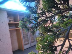-马家斑.鲜鱼火锅(松湖万科店)