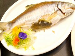 -吴记富苑(朝阳店)