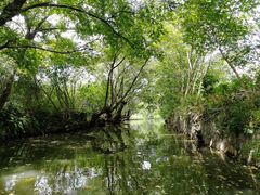 -西溪国家湿地公园