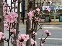 -蓝宝石大厦(天目中路)