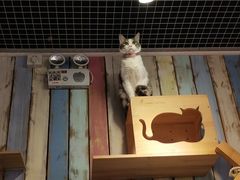 -小时光咖啡馆(开森度假森林店)