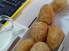 -蒲公英(五里店)